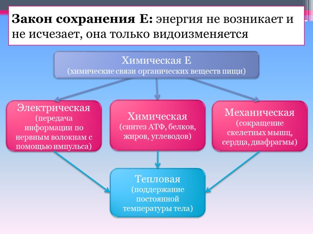 Сохранение связей. Закон сохранения энергии обмен веществ. Диссимиляция педагогического опыта это. Органические вещества с пи связью. Диссимиляция опыта работы педагога.