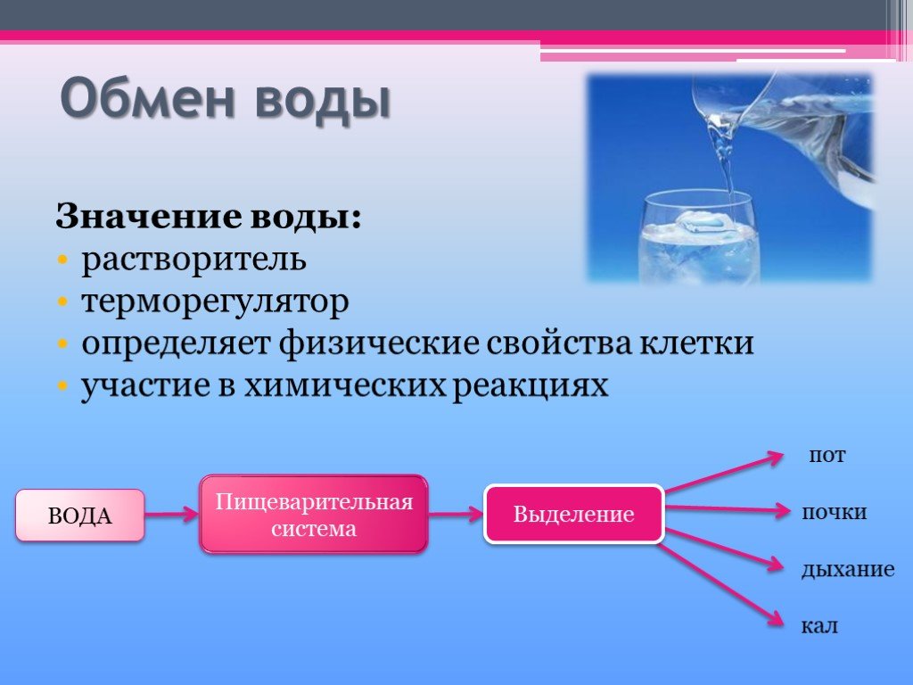 Основной функцией лаборатории вода является. Обмен воды в организме схема. Обмен воды и Минеральных веществ таблица. Обмен Минеральных солей в организме человека схема. Обмен воды и Минеральных солей схема.