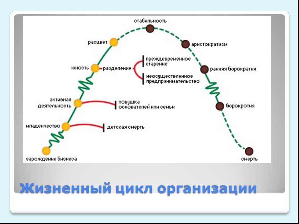 Жизни организации в соответствии с