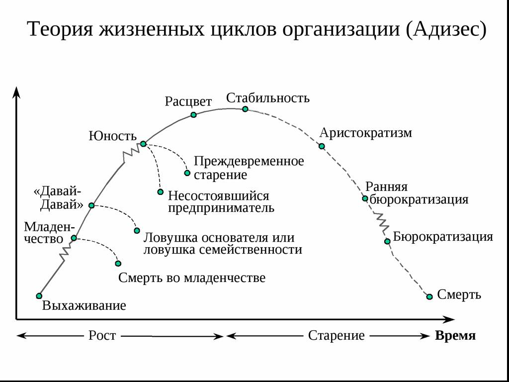 Как правильно трактовать зубчики на схеме адизеса перед этапами младенчество бюрократизация и юность