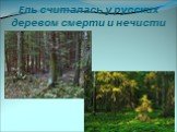 Ель считалась у русских деревом смерти и нечисти
