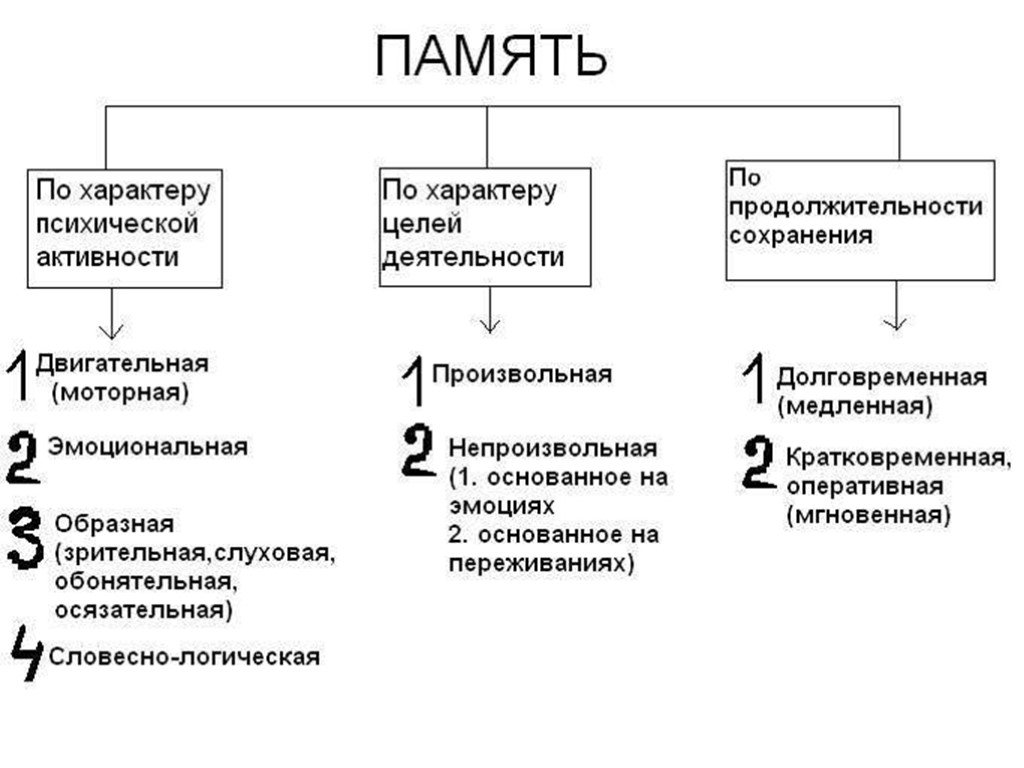 Схема типы памяти