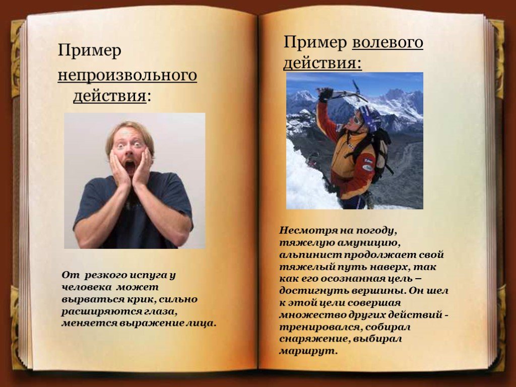 Примеры воли человека. Примеры волевых людей. Пример воли человека. Волевое действие пример. Непроизвольные действия пример.