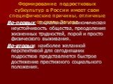 Формирование подростковых субкультур в России имеет свои специфические причины, отличные от стран Запада. Во-первых: социальная и экономическая неустойчивость общества, преодоления жизненных трудностей, порой и просто физического выживания. Во-вторых: наиболее желанной перспективой для сегодняшних п