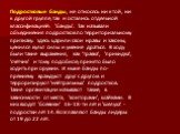 Подростковые банды, не относясь ни к той, ни к другой группе, так и остались отдельной классификацией: 'банды'. Так называли объединения подростков по территориальному признаку: здесь царили свои нравы и законы, ценился культ силы и умение драться. В ходу были такие выражения, как 'травка', 'прикидк