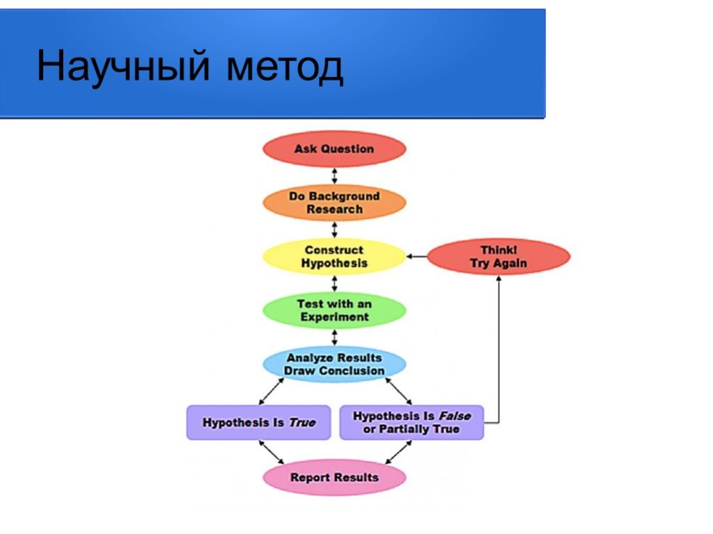 4 научных метода. Схема научного метода. Научный метод. Научный метод это в философии. Научный подход и метод.