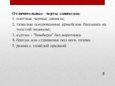 Отличительные черты скинхедов: плотные черные джинсы; тяжелые шнурованные армейские башмаки на толстой подошве; куртки - "бомберы" без воротника бритая или стриженая под ноль голова ремни с тяжёлой пряжкой