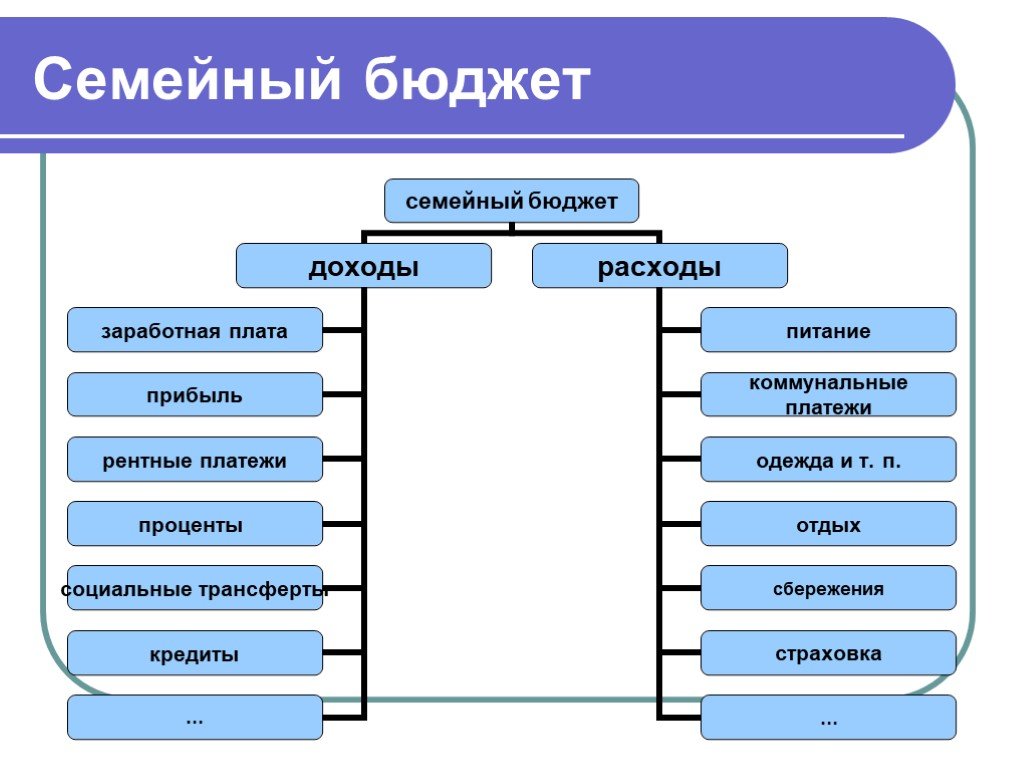 Проект государственный бюджет 8 класс