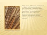 Сухие волосы не блестящие, шероховатые на ощупь, легко ломаются, тусклые и секутся на концах. Кожа головы может быть покрыта перхотью, так как нарушена работа желез внутренней секреции. Волосы такого типа необходимо дополнительно увлажнять, используя масла для волос, а также маски и народные средств