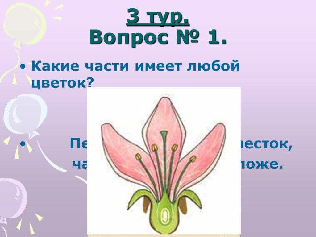 Какие части имеет цветок. Любой цветок имеет лепестки и чашелистики. Пестик тычинка лепесток. Что имеет пестик в цветках.