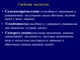 Свойства экосистем. Самовоспризведение (способность организмов к размножению, воссоздание среды обитания, наличие пищи и запас энергии) Устойчивость(способность удерживать равновесие при изменении условий среды) Саморегуляция(популяции организмов взаимно ограничивают численность, массовое размножени