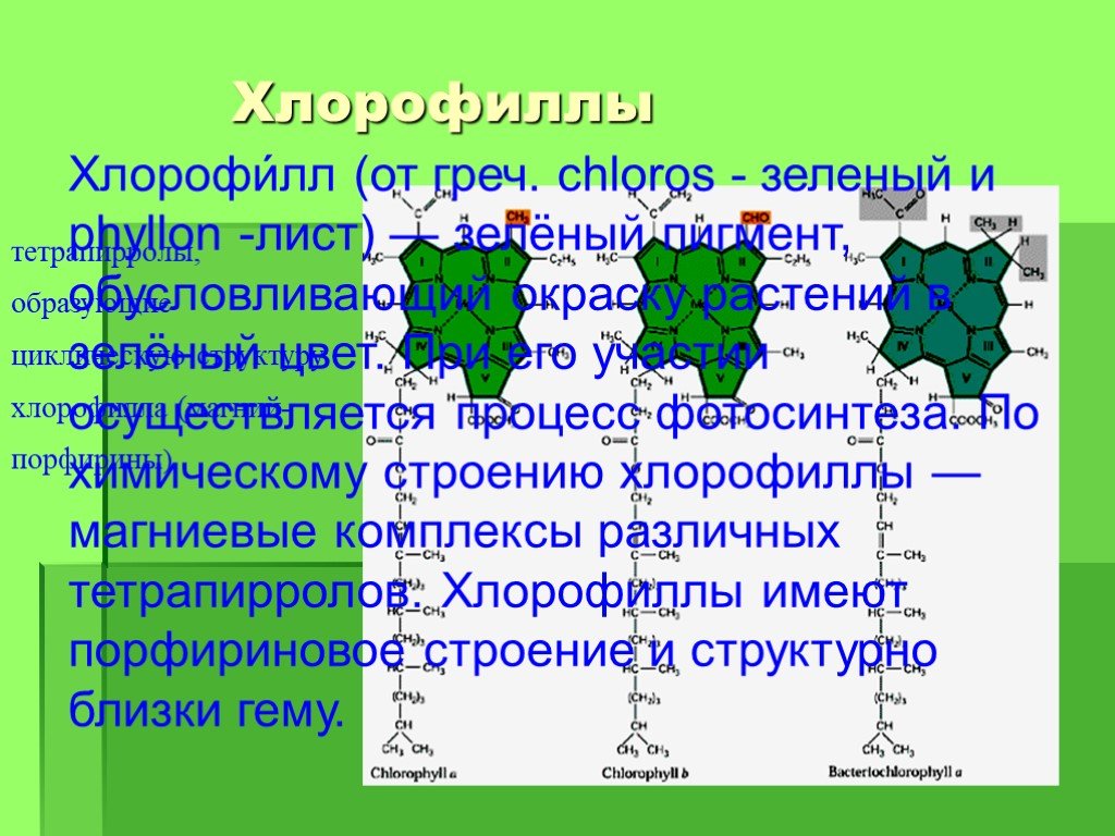 Использование хлорофилла. Порфирин хлорофилл. Хлорофилл зеленый лист. Тетрапиррол в хлорофилле. Хлорофилл зеленый.