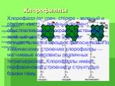 Хлорофиллы. тетрапирролы, образующие циклическую структуру хлорофилла (магний-порфирины). Хлорофи́лл (от греч. chloros - зеленый и phyllon -лист) — зелёный пигмент, обусловливающий окраску растений в зелёный цвет. При его участии осуществляется процесс фотосинтеза. По химическому строению хлорофиллы