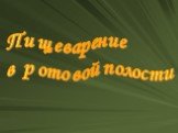 Пищеварение в ротовой полости