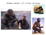 Человек умелый – 2,5 – 1,5 млн. лет назад