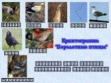Экологические группы птиц Слайд: 5