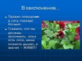 В заключение…. Правил поведения в лесу гораздо больше. Главное, что мы должны запомнить: пока есть леса, наша планета дышит, а значит – ЖИВЕТ!