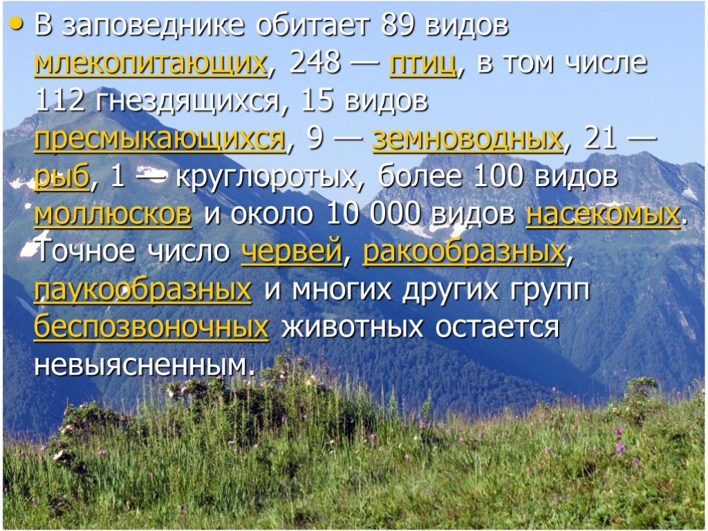 О заповедниках краснодарского края презентация