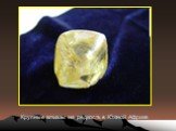 Крупные алмазы не редкость в Южной Африке