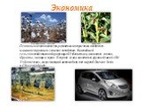 Экономика. Основными экономически-развитыми отраслями являются- машиностроение и сельское хозяйство. Важнейшей сельскохозяйственной продукцией Узбекистана, являются хлопок, Фрукты, овощи и зерно. В городе Асака находится крупный завод «GM Узбекистан», выпускающий автомобили под маркой Daewoo Nexia и