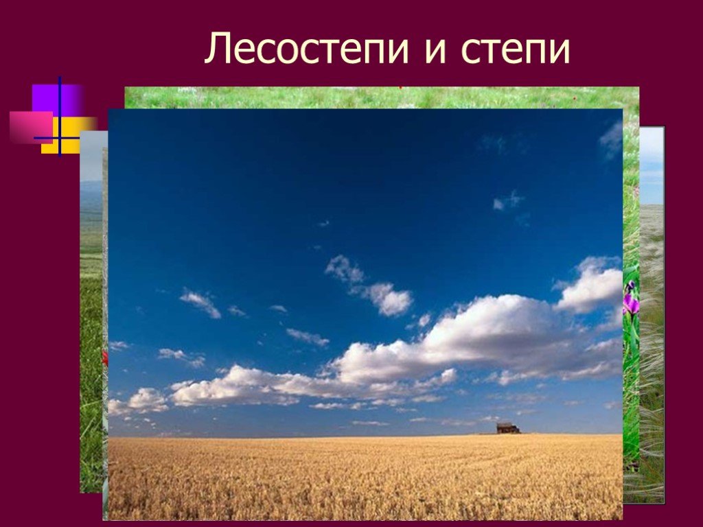 Равнины 5 класс презентация полярная звезда. Лесостепи и степи природный комплекс. Климат лесостепи. Растительный мир лесостепи. Лесостепи русской равнины.