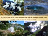 Назовите количество гейзеров на Камчатке, выбрасывающих кипящие струи воды и пара на десятки метров в высоту?