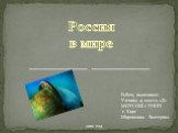 Россия в мире. Работу выполнила: Ученица 9 класса «Д» МОУСОШ с УИОП г. Кирс Широкшина Екатерина. 2010 год