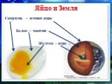 Яйцо и Земля. Скорлупа – земная кора Белок – мантия Желток - ядро