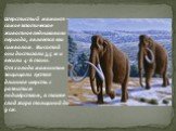 Шерстистый мамонт – самое экзотическое животное ледникового периода, является его символом. Высотой они достигали 3,5 м и весили 4-6 тонн. От холода мамонтов защищали густая длинная шерсть с развитым подшёрстком, а также слой жира толщиной до 9 см.