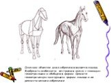 Сложным объектом для изображения является лошадь. Вообразить особенности ее строения можно с помощью геометризации и обобщения формы. Сравните геометрическую конструкцию формы лошади и ее реалистическое изображение.