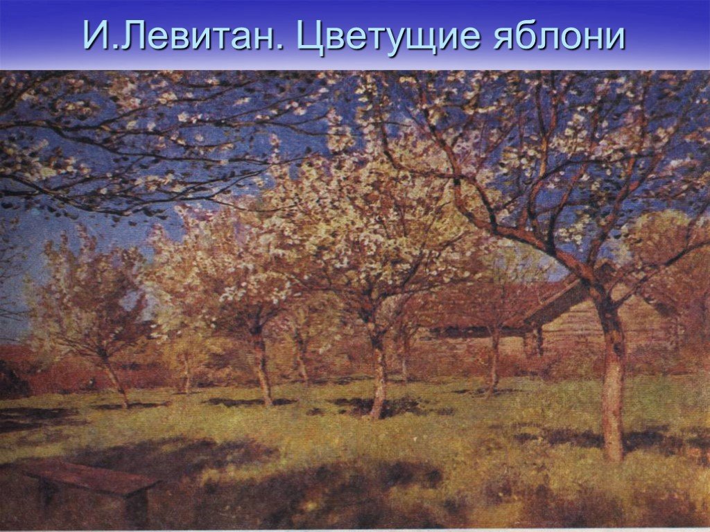 Сочинение яблони. И.Левитан .цветущие яблони. 1896 Г..