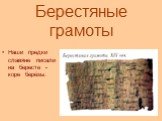 Берестяные грамоты. Наши предки славяне писали на бересте - коре берёзы.