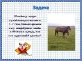 Задача. Наезднику нужно преодолеть расстояние в 5,13 км. Сколько времени ему потребуется, чтобы победить в скачках, если его скорость 0,9 км в час?