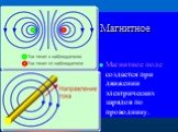 Магнитное поле. Магнитное поле создается при движении электрических зарядов по проводнику.