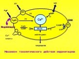 Индометацин. Механизм токолитического действия индометацина