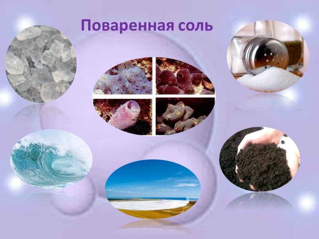 Почему кремний называют элементом неживой природы. Окружающий мир разнообразие веществ. Что такое поваренная соль окружающий мир. Разнообразие веществ соль. Разнообразие веществ в природе.