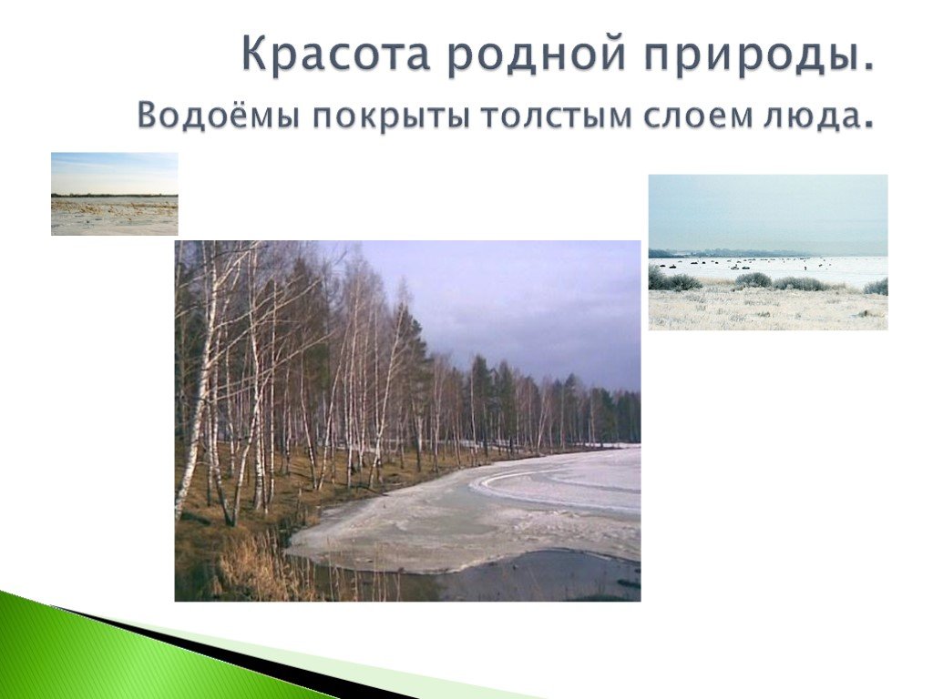 Красота родного края презентация