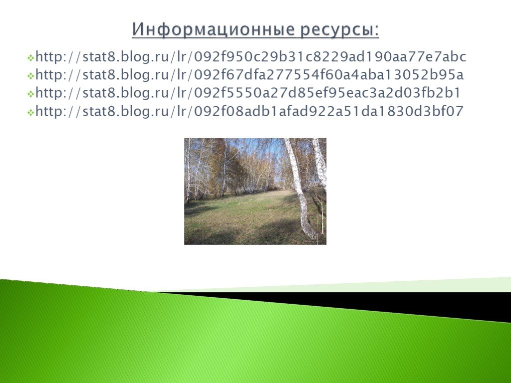 Природа родного края опишите фотографию