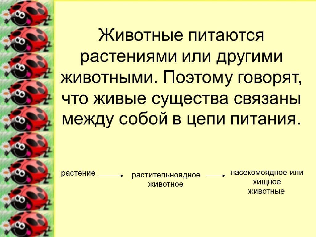 Поэтому скажу. Доклад как животные питаются. Животные и растения связаны между собой в. Живые существа связанные между собой в цепи питания. Живые существа связаны между собой в.