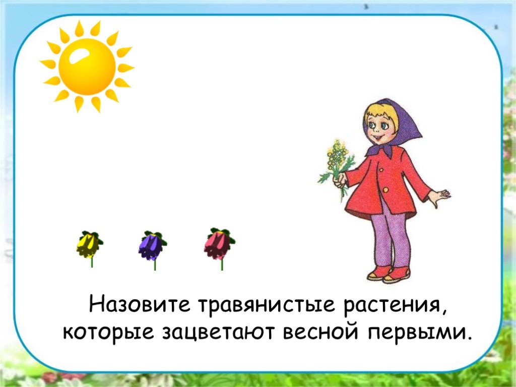 Презентация по окружающему миру 2 класс в гости к весне 2 класс