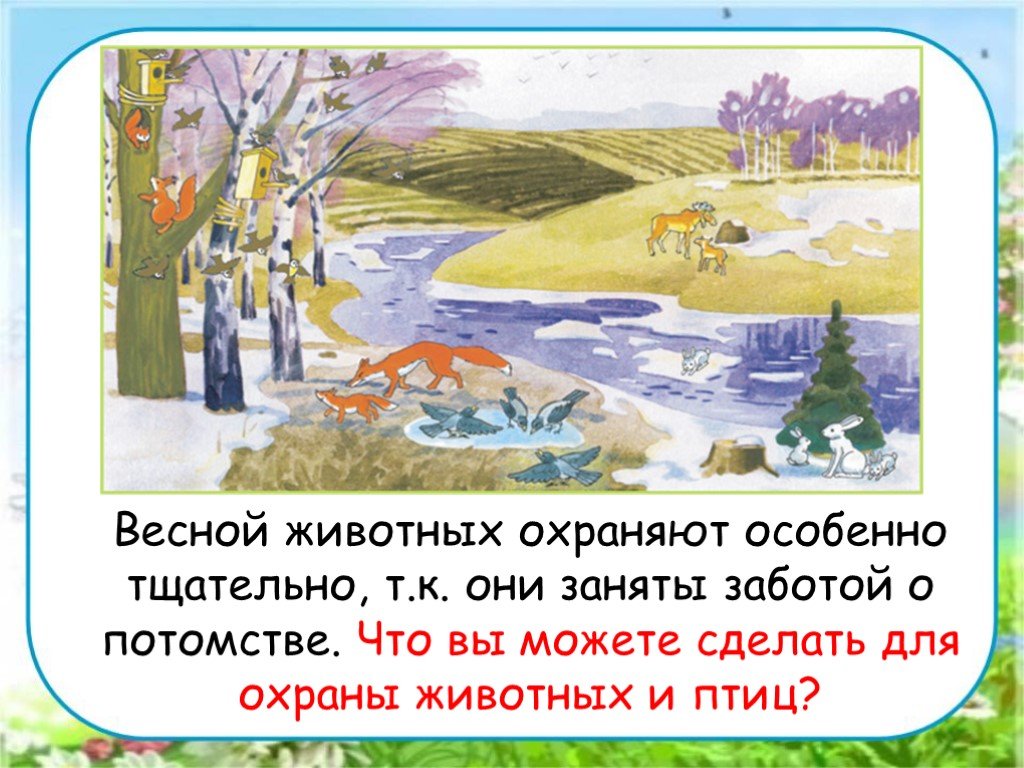 В гости к весне презентация 2 класс презентация