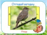 Отгадай загадку. Снится ночью пауку Чудо-юдо на суку, Длинный клюв и два крыла… Прилетит – плохи дела. А кого паук боится? Угадали? Это …. Птица