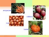морковь свёкла лук тыква