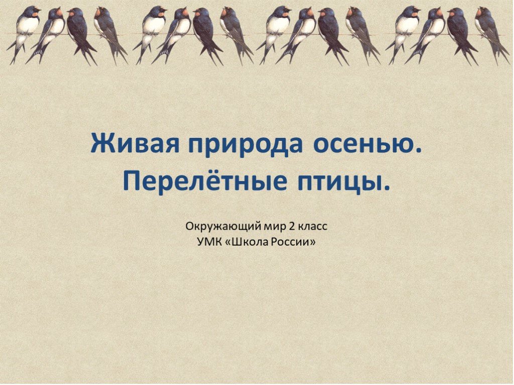 Птицы 2 класс окружающий мир. Перелетные птицы 2 класс. Перелетные птицы 2 класс окружающий. Живая природа осенью. Перелётные птицы.2 класс. Перелетные птицы 2 класс окружающий мир Плешаков.