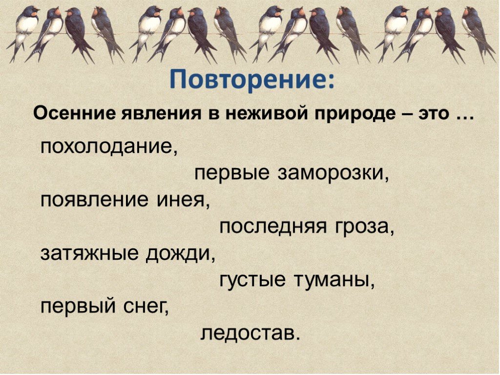 Презентация перелетные птицы 1 класс окружающий мир