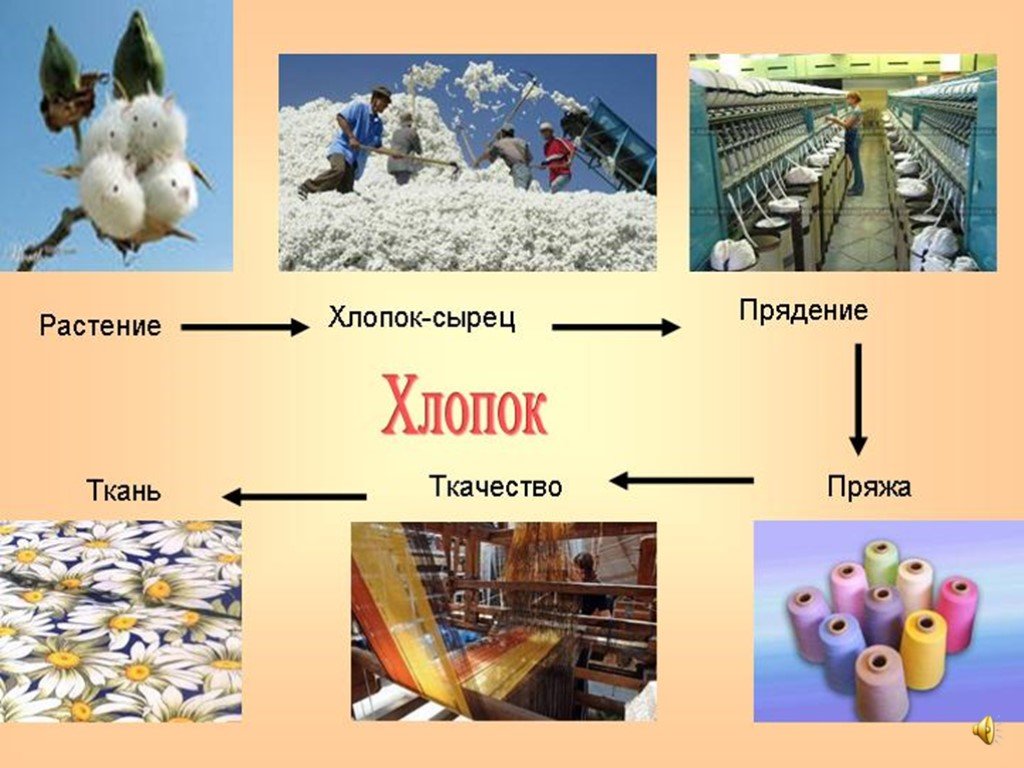 Ткани презентация 1 класс