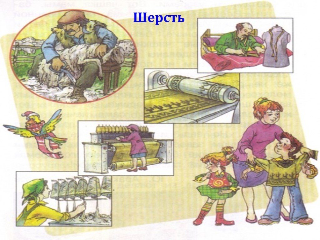 Что из чего сделано 2 класс окружающий. Рисунки как делают шерстяные вещи. Как делают шерстя вещи. Как делают шерстяные вещи окружающий мир. Производственная цепочка шерстяные вещи.