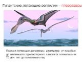 Гигантские летающие рептилии – птерозавры. Первые летающие динозавры, размерами от воробья до маленького одномоторного самолета появились за 70 млн лет до появления птиц