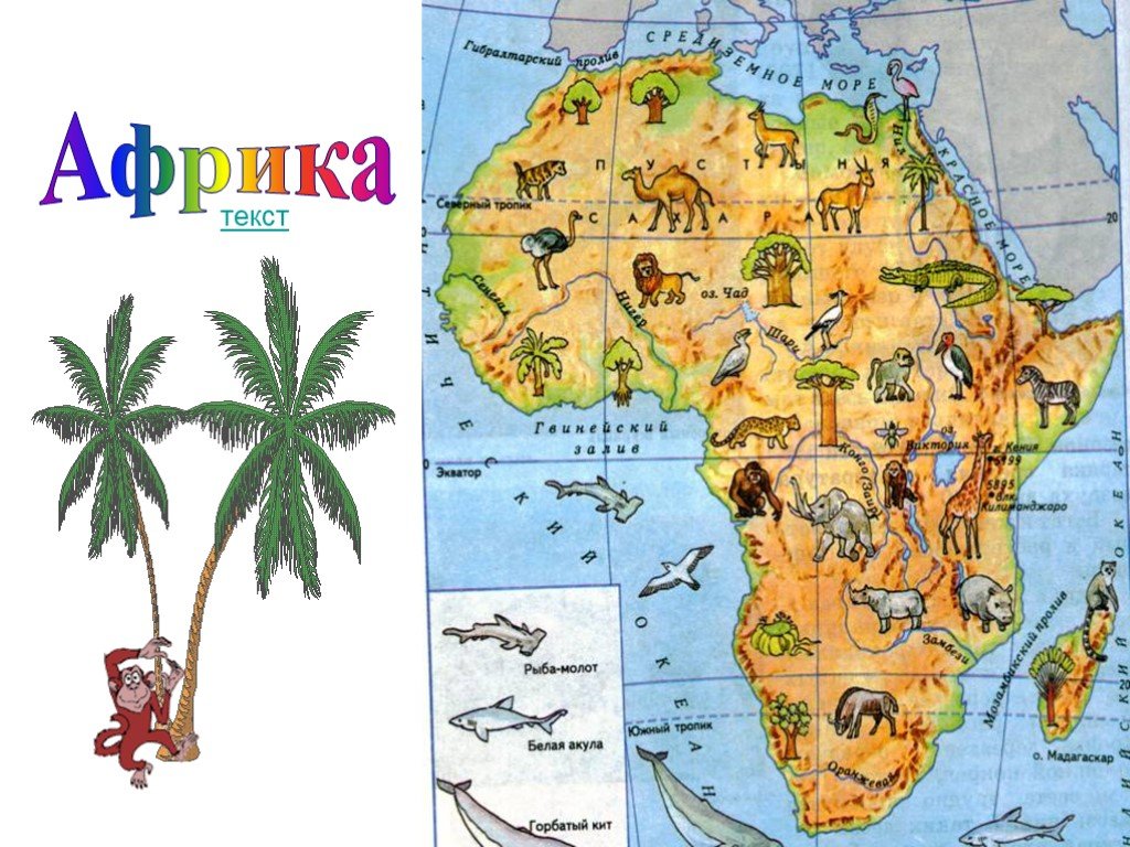 Африки животный география. Африка карта для детей. Африка для детей дошкольного возраста. Карта Африки дл ядетет. Карта Африки для детей дошкольного возраста.