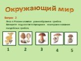Леса в России славятся разнообразием грибов. Запишите под соответствующими номерами названия съедобных грибов. Вопрос 2 1 2 3 5